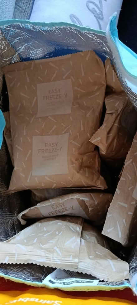 Photo of free Freezer blocks (Chellaston DE73) #1