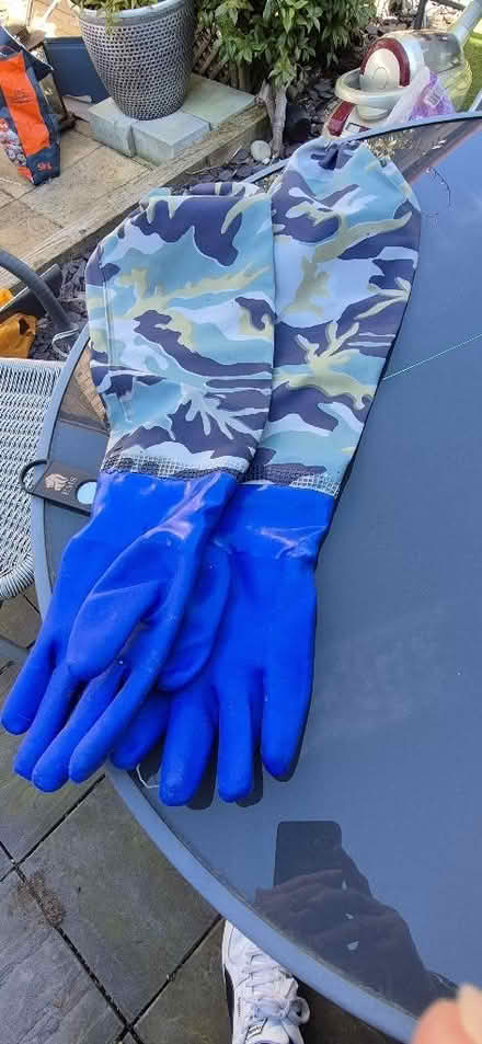 Photo of free Pond gloves (Crownhill MK8) #1