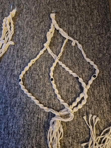 Photo of free Rope plant pot hangers (Heddington SN11) #2