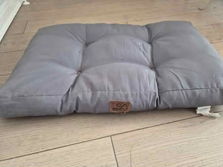 Photo of free Dog bed (Morden SM4) #1