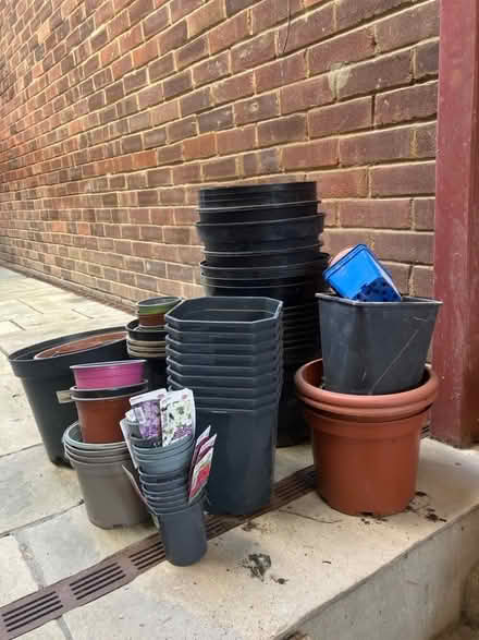 Photo of free Plastic Plant Pots (New Malden KT3) #1