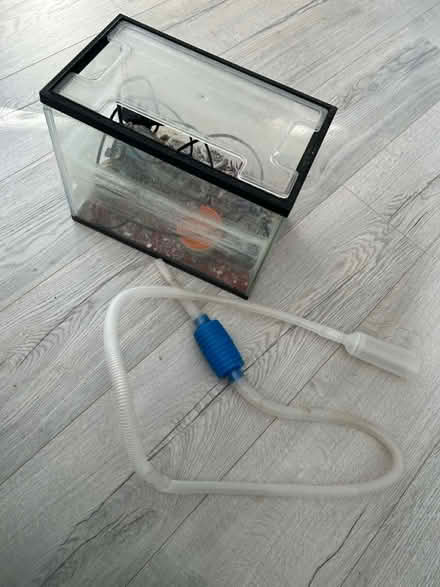 Photo of free Old Mini Fish Tank (Beckenham) #4