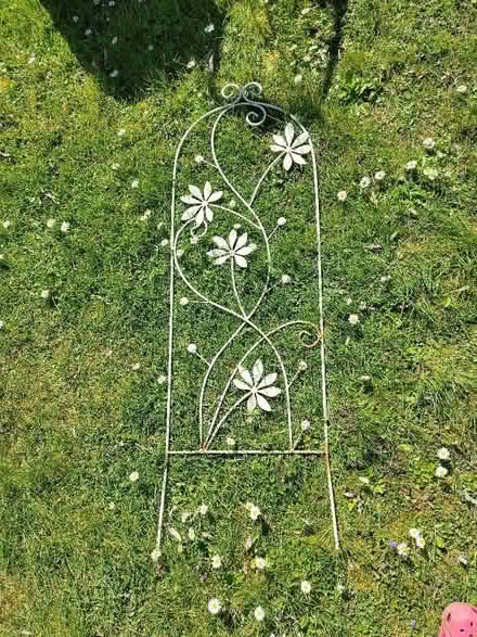 Photo of free Climbing frame for plants (Marshalswick AL4) #2