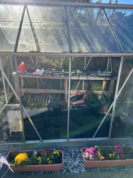 Photo of free 8' x 6' Greenhouse (Project) (Sandbach CW11) #1