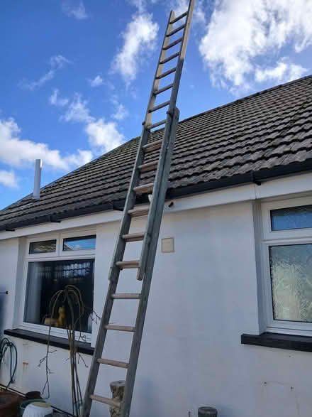 Photo of free Ladders (Pennard SA3) #2