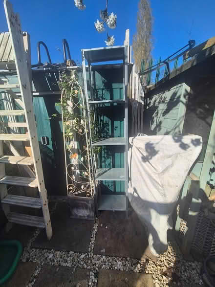 Photo of free Shelf (Harold wood Rm3 0gd) #3