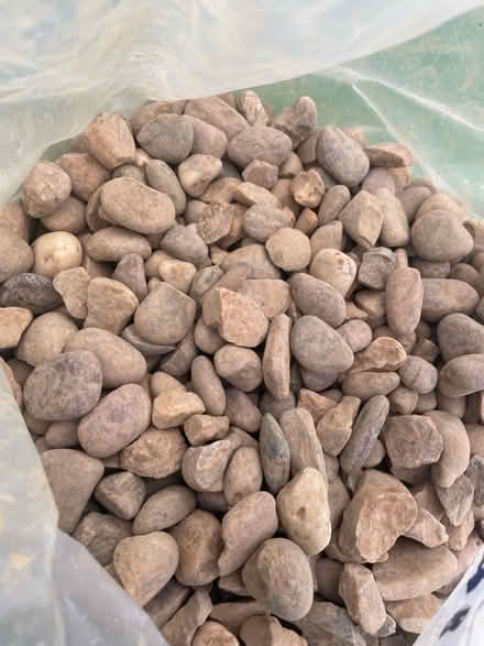 Photo of free Pebbles (Dore, S17) #2