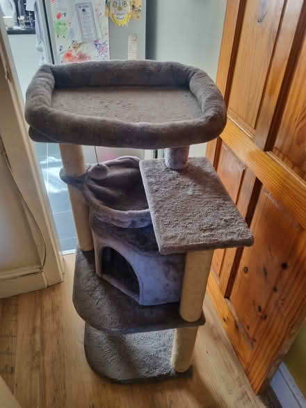 Photo of free Cat Tree (Stretford M32) #1