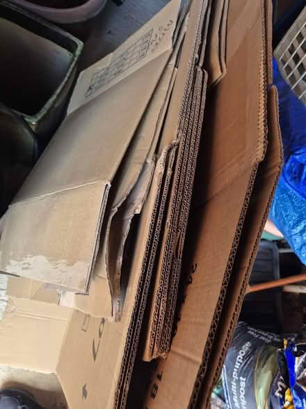 Photo of free Large & Meduim packaging boxes (High Wood CM6) #1