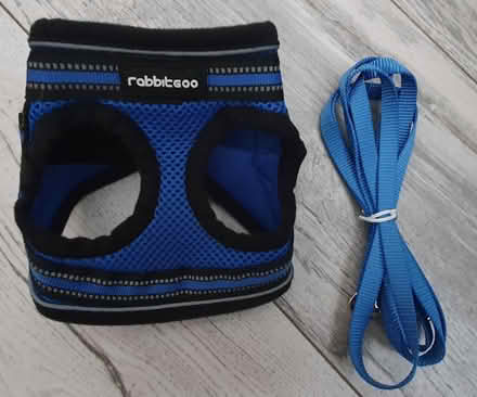 Photo of free Cat harness (SK3) #1