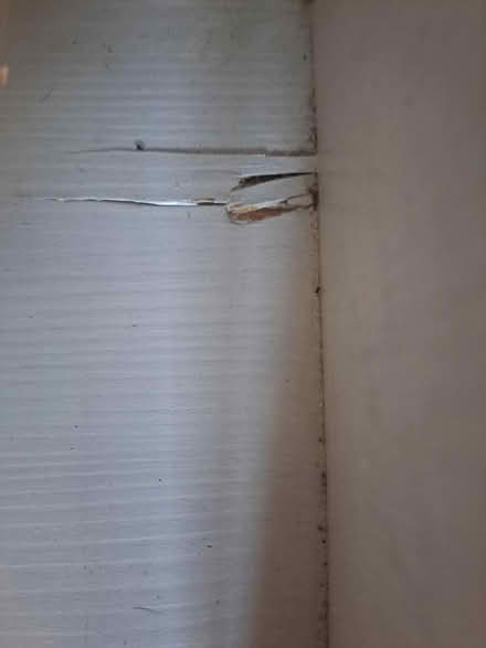 Photo of free Book shelf (RH12) #3