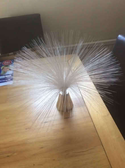 Photo of free Fibre optic lamp (Charminster BH8) #2