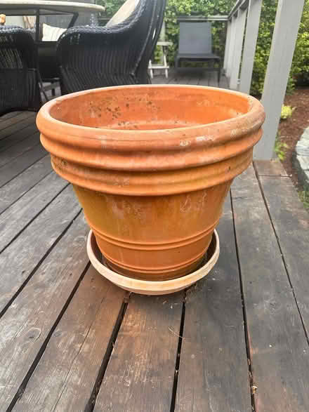 Photo of free 4 Terracotta Pots w Saucers (Kentfield) #1