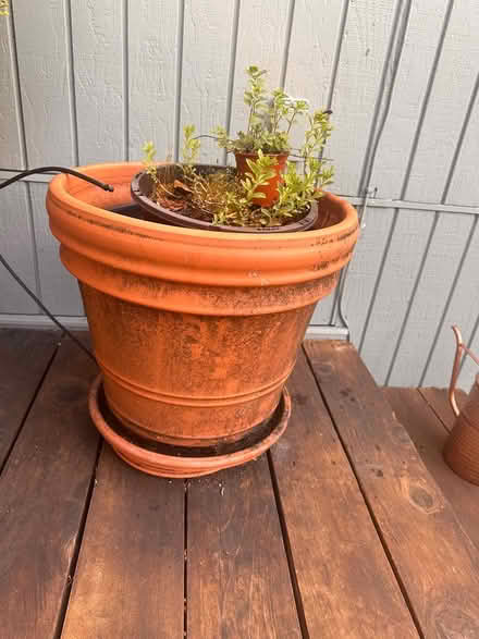 Photo of free 4 Terracotta Pots w Saucers (Kentfield) #3
