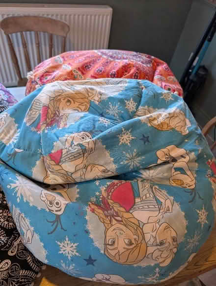 Photo of free Bean bags (Broomgrove TN34) #3