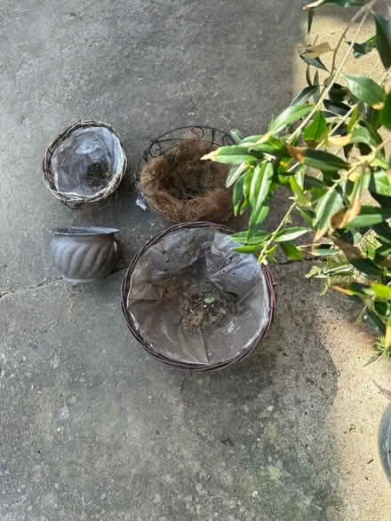 Photo of free (Nox SY5) #1