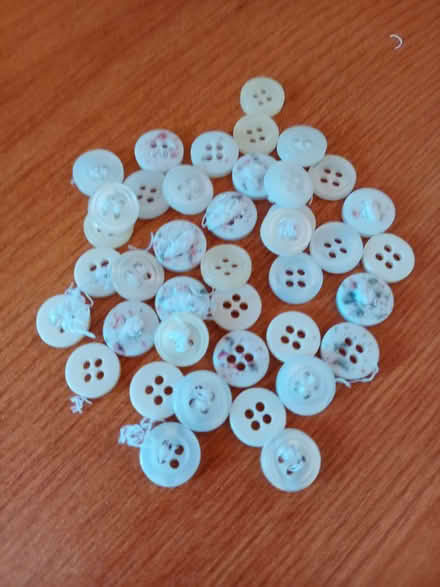 Photo of free White buttons. (Frimley Ward GU16) #1