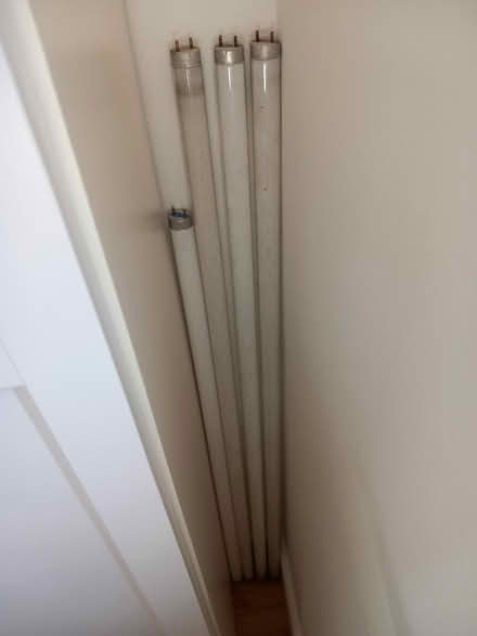 Photo of free 4 x neon lights (RG6 near Palmer Park) #2