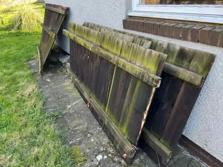 Photo of free garden fencing (Presteigne LD8) #3