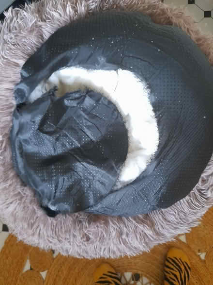 Photo of free Pet plush bed (Larkhall, Bath BA1) #3