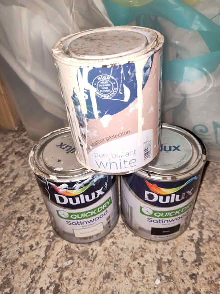 Photo of free Medium paint pots (St Ives PE27) #1
