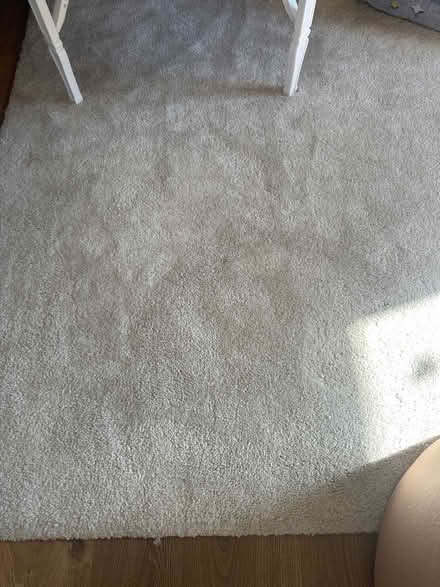 Photo of free IKEA rug (Hampstead) #1