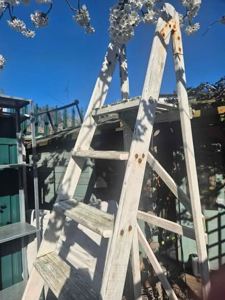 Photo of free Wooden steps (Harold wood Rm3 0gd) #3