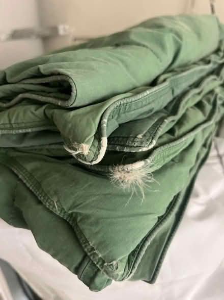 Photo of free down comforter (east hollywood) #1