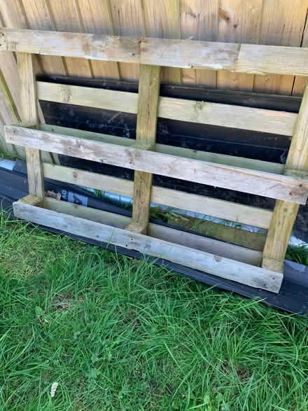 Photo of free 3 pallets (Queen's Park BN2) #3