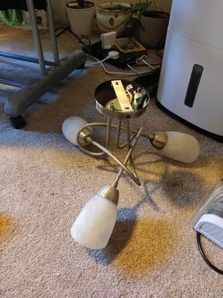 Photo of free Ceiling lights (EH16, Prestonfield) #1
