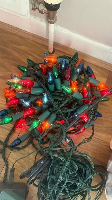 Photo of free Outside /indoor use 120 big bulbs (Chatham) #2