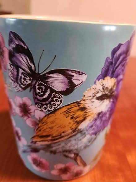 Photo of free nine candle holders or vases (Brookland) #2