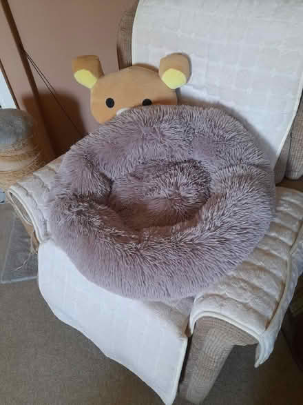 Photo of free Pet plush bed (Larkhall, Bath BA1) #1