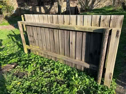 Photo of free garden fencing (Presteigne LD8) #4