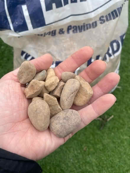 Photo of free Pebbles (Dore, S17) #3