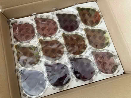Photo of free Hydration Jellies (Southport PR9) #1