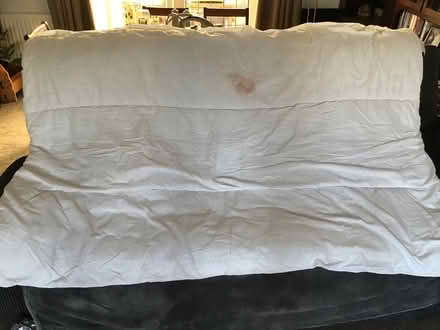 Photo of free Used single duvet 13.5 Long Eaton (Long eaton NG10) #1