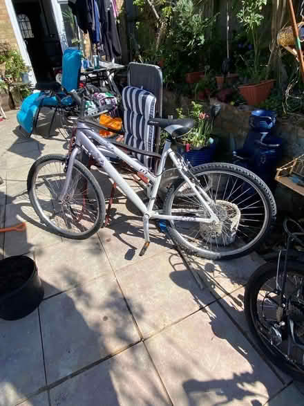 Photo of free Ladies bike (Newhaven BN9) #1