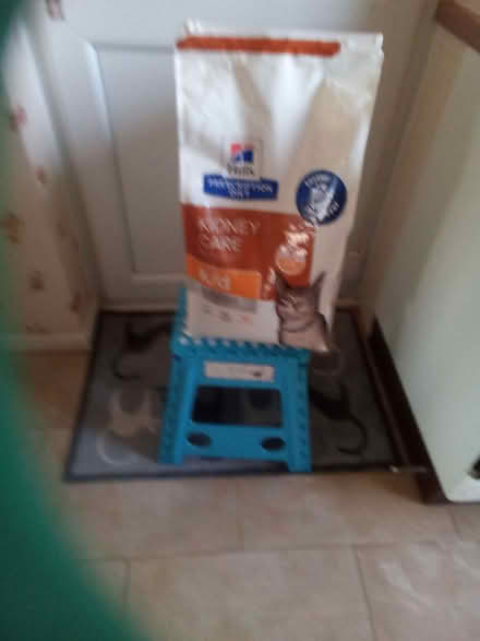 Photo of free Cat good and litter (Eccleston PR7) #2