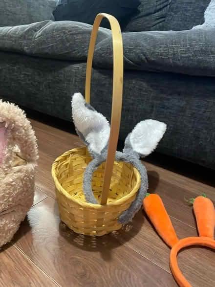 Photo of free Easter baskets, headband ears & dress up (Leytonstone E11) #3