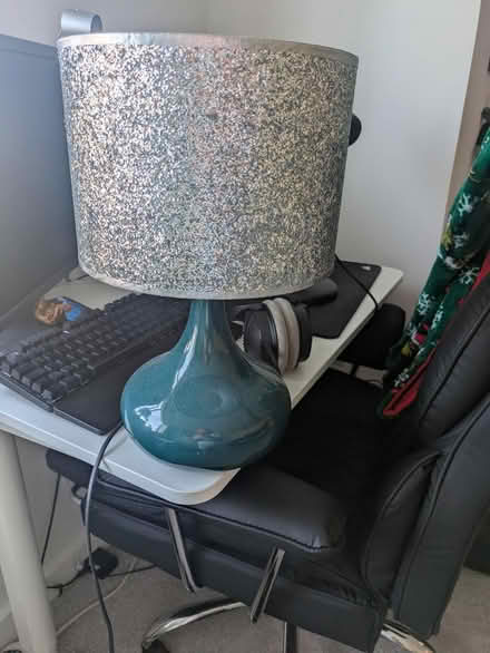 Photo of free Two teal lamps & sparkly shades (Leeds LS14) #1