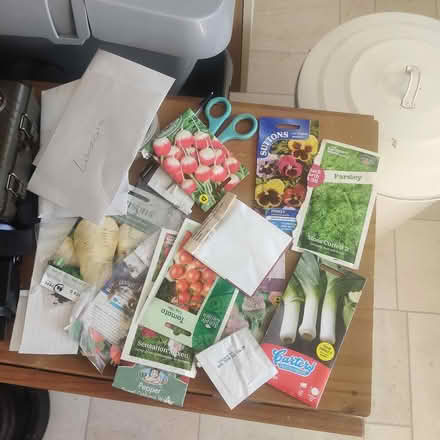 Photo of free Seeds (B13 Billesley) #1