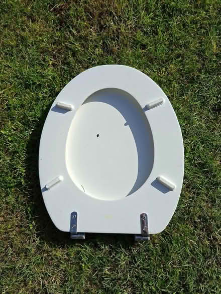 Photo of free Toilet seat (Twickenham TW2) #2