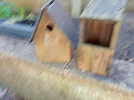 Photo of free 2 Bird nest boxes, & small bird fat block feeder (Parkstone BH14) #1