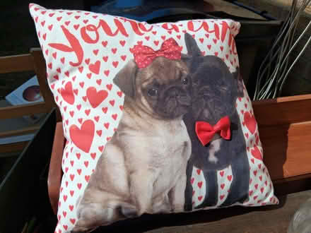 Photo of free Pair of red Pug/French bulldog cushions (Sprowston NR7) #1