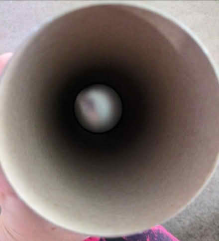 Photo of free Pretty and tall card tube (Kempston MK42) #2