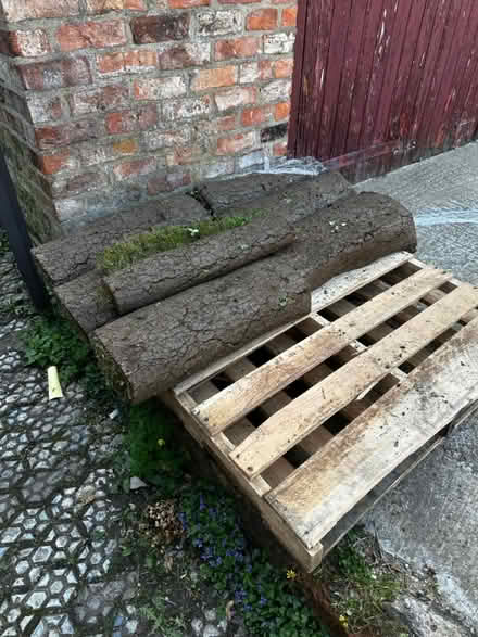 Photo of free Turf 50/50 clover grass. 5m2 (York) #1