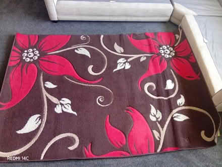 Photo of free Large rug (Moseley B13) #1