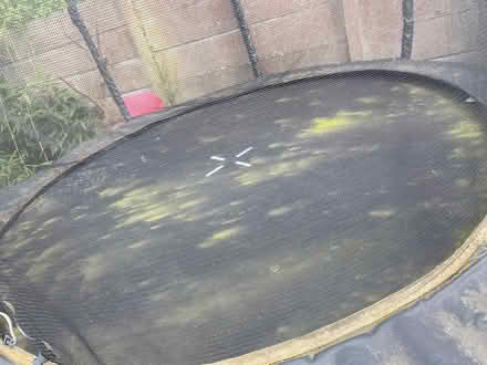 Photo of free Large trampoline (Southport PR8) #4