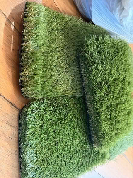 Photo of free 15x samples of artificial grass (A4 size, suitable for craft (Hampden Park BN22) #2